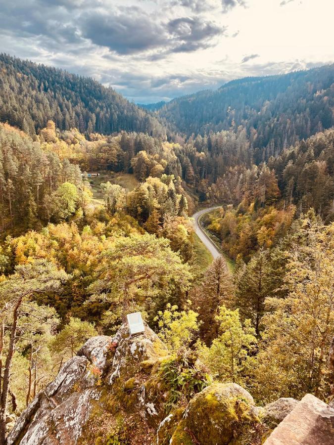B71 - Appartement Im Herzen Des Schwarzwalds Schramberg Eksteriør bilde